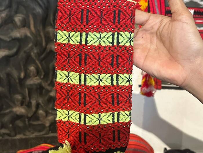 IPED中心內展覽品3圖片