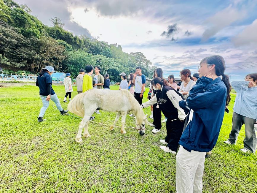 輔助治療概論｜馬教會我們的事參訪花蓮縣馬匹輔助教育中心